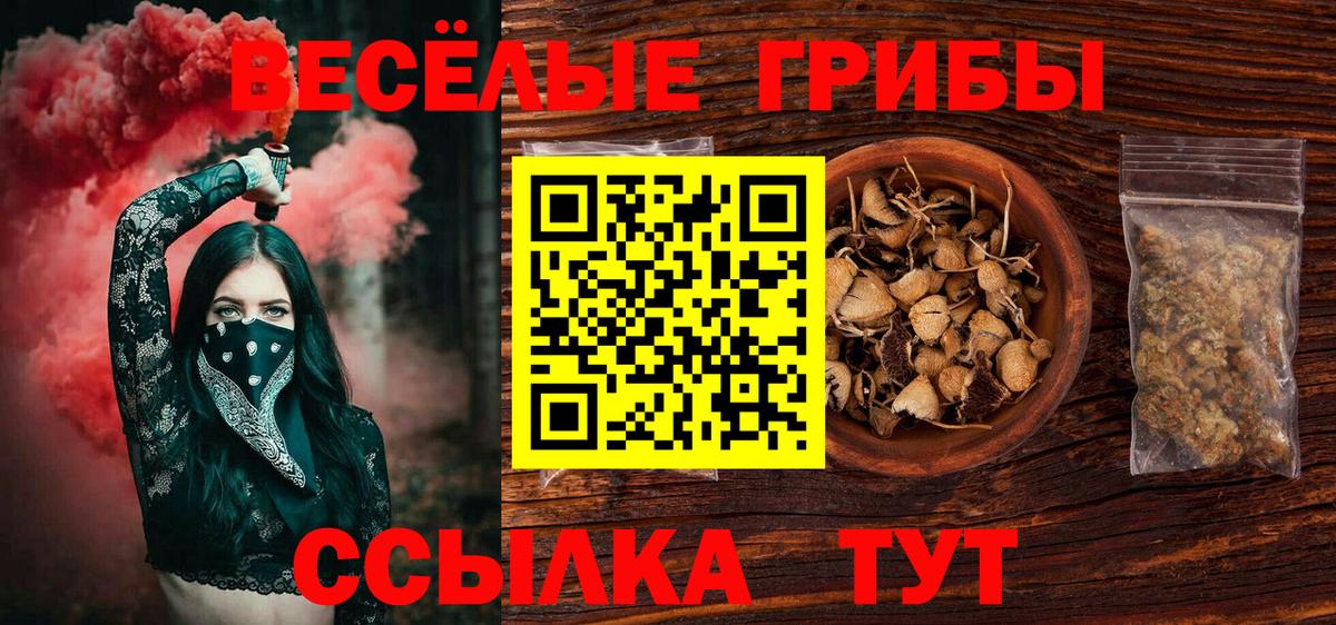 Галлюциногенные грибы прущие грибы  Вход с VPN  Самара 