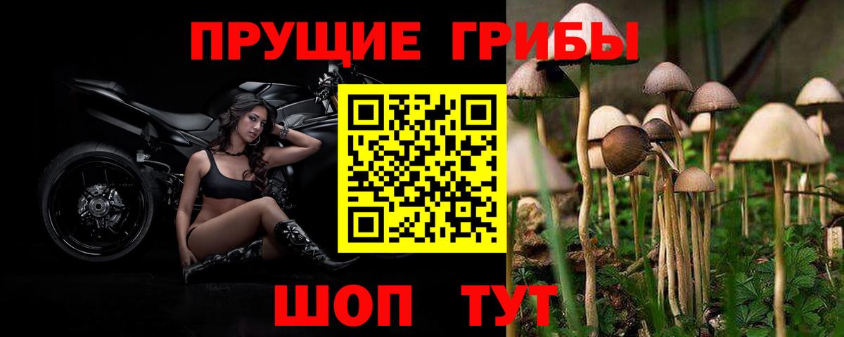 Псилоцибиновые грибы мухоморы Самара